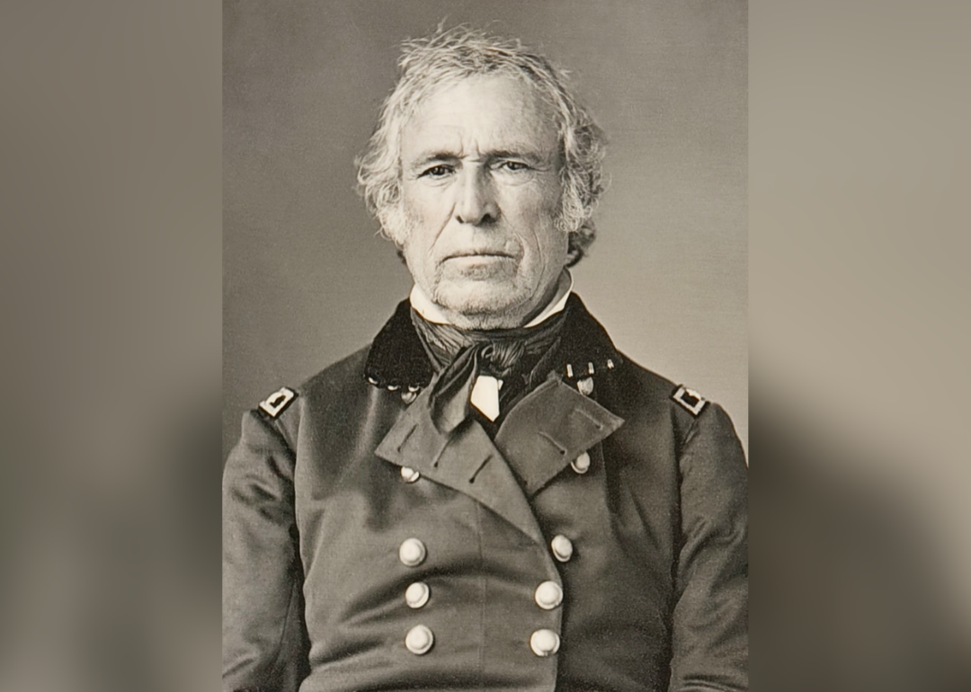 #31. Zachary Taylor
